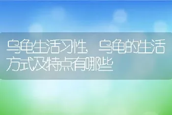 乌龟生活习性，乌龟的生活方式及特点有哪些