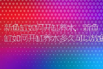 新鱼缸如何开缸养水，新鱼缸如何开缸养水多久可以放鱼