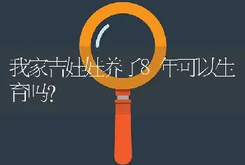 我家吉娃娃养了8年可以生育吗？