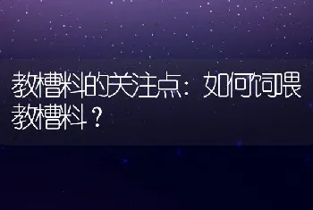 教槽料的关注点：如何饲喂教槽料？