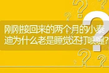 金毛的战斗力排行？