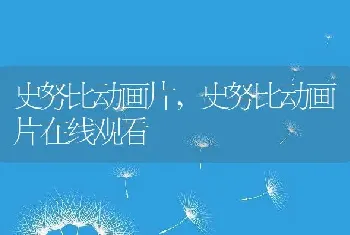 史努比动画片，史努比动画片在线观看