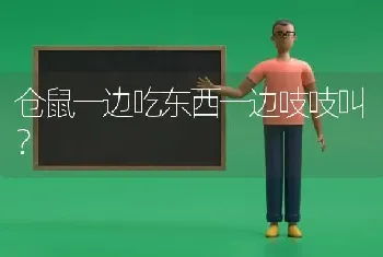 仓鼠一边吃东西一边吱吱叫？