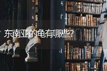 东南亚的龟有哪些？