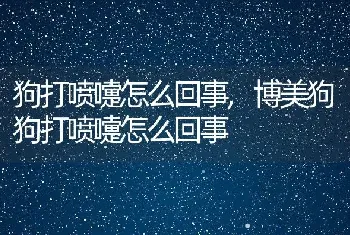 狗打喷嚏怎么回事，博美狗狗打喷嚏怎么回事