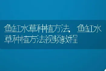 鱼缸水草种植方法，鱼缸水草种植方法视频教程