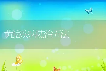 黄鳝疾病防治五法