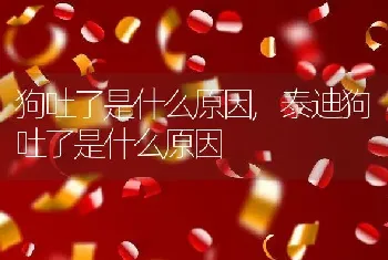 狗吐了是什么原因，泰迪狗吐了是什么原因