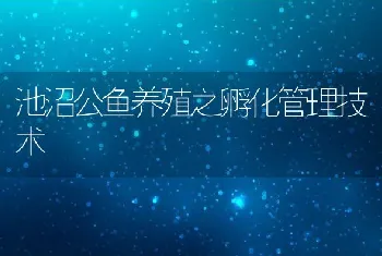 池沼公鱼养殖之孵化管理技术