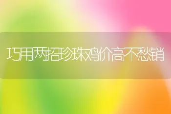 巧用两招珍珠鸡价高不愁销