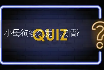 小母狗多久发一次情？