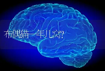 养拉布拉多血泪史？