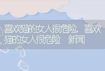 喜欢猫的女人很危险，喜欢猫的女人很危险 新闻