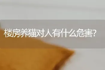 楼房养猫对人有什么危害？