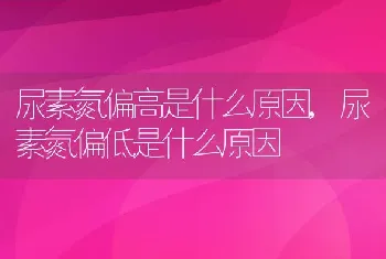 尿素氮偏高是什么原因，尿素氮偏低是什么原因