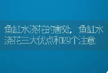 鱼缸水浇花的害处，鱼缸水浇花三大优点和四个注意