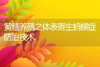 黄鳝养殖之体表寄生蚂蟥症防治技术