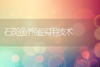 石斑鱼养殖实用技术