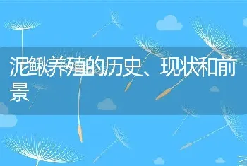 泥鳅养殖的历史、现状和前景