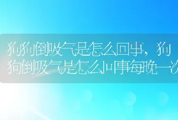 狗狗倒吸气是怎么回事，狗狗倒吸气是怎么回事每晚一次