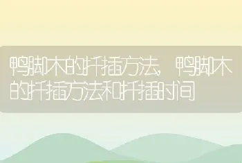 女人与公藏獒配种