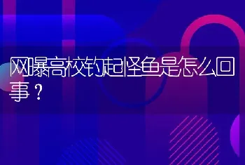 网曝高校钓起怪鱼是怎么回事？