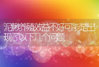 泥鳅养殖效益不好可能是出现了以下几个问题