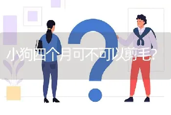 小狗四个月可不可以剪毛？