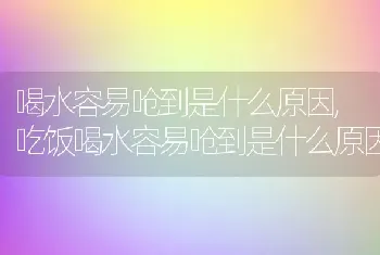 喝水容易呛到是什么原因，吃饭喝水容易呛到是什么原因