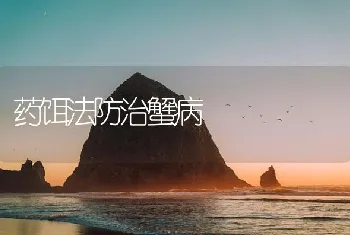 药饵法防治蟹病