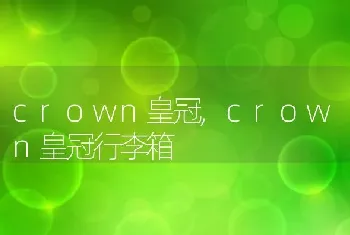 crown皇冠，crown皇冠行李箱