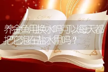 养金鱼用换水吗可以每天都把它泡在盐水里吗？