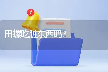 田螺吃脏东西吗？