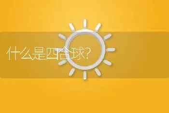 什么是四合球？