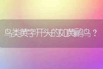 鸟类黄字开头的如黄鹂鸟？