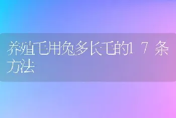 养殖毛用兔多长毛的17条方法