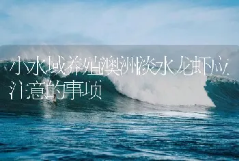 小水域养殖澳洲淡水龙虾应注意的事项