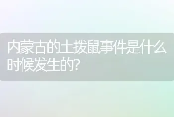 猫会用猫砂但是乱尿，小猫突然乱尿为什么？