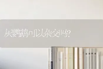 灰鹦鹉可以杂交吗？