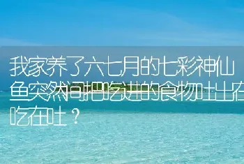 我家养了六七月的七彩神仙鱼突然间把吃进的食物吐出在吃在吐？