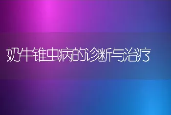 奶牛锥虫病的诊断与治疗