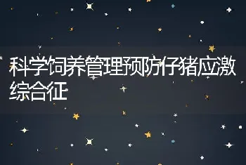 科学饲养管理预防仔猪应激综合征