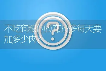 不吃狗粮的拉布拉多每天要加多少肉？