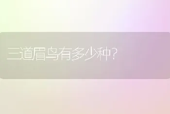 三道眉鸟有多少种？