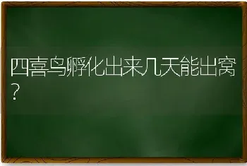 四喜鸟孵化出来几天能出窝？