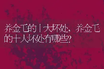 养金毛的十大坏处，养金毛的十大坏处有哪些？