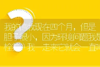 我的德牧现在四个月，但是胆子很小，因为环境问题我是栓养，我一走来它就会一直叫，叫声类似哭。但我把我？