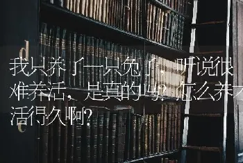 我只养了一只兔子，听说很难养活，是真的吗？怎么养才活得久啊？