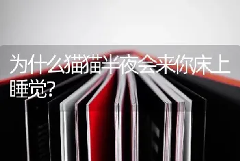 泰迪狗什么时候剪毛最好？