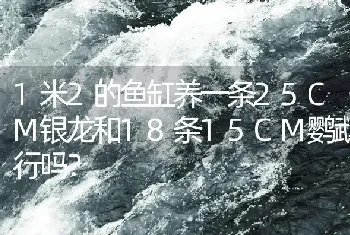 1米2的鱼缸养一条25CM银龙和18条15CM鹦鹉行吗？